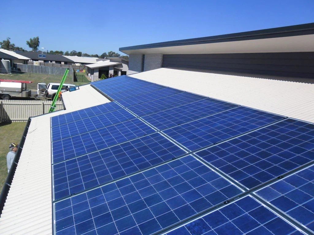 Ученые разрабатывают свинцовую ленту на присоске, чтобы повысить жизнеспособн...