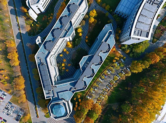 Компания чистой энергии в авангарде движения Китая по декарбонизации