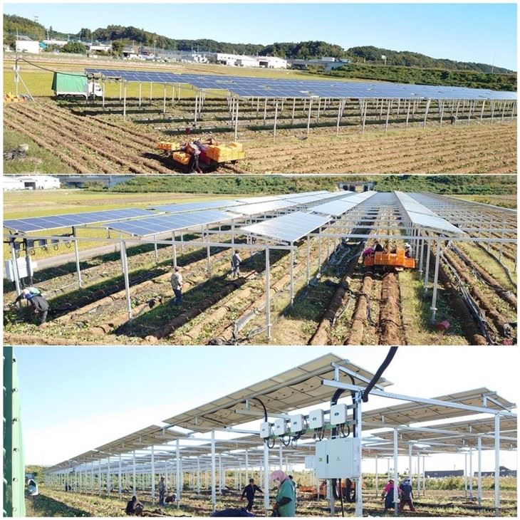 Agri-PV Mounting Structure