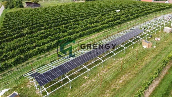 Agri-Solar Mounting: For Crops And Livestocks factory