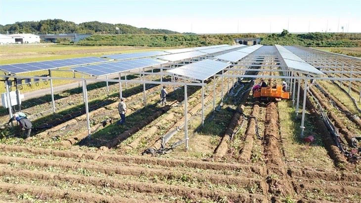 Agri Voltaic Farming System