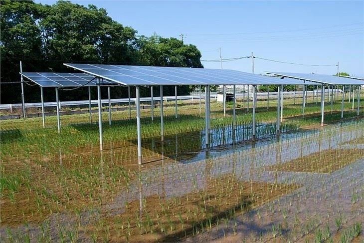 Aluminum Agricultural Farm Solar Mounting System
