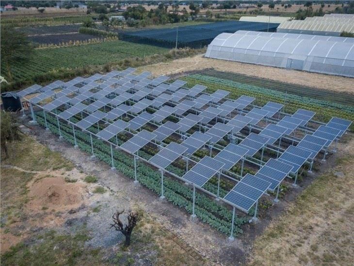 Farming-Integrated Solar Structures suppliers